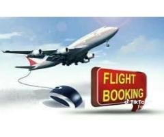 Book flights