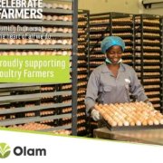 olamfarms